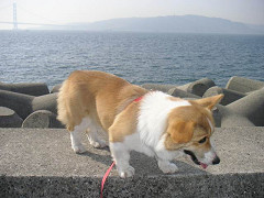 Resize of PICT1627_thumb.jpg